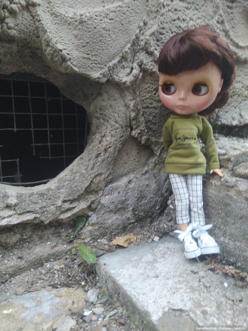 Прогулка с Олесей. Новенькая