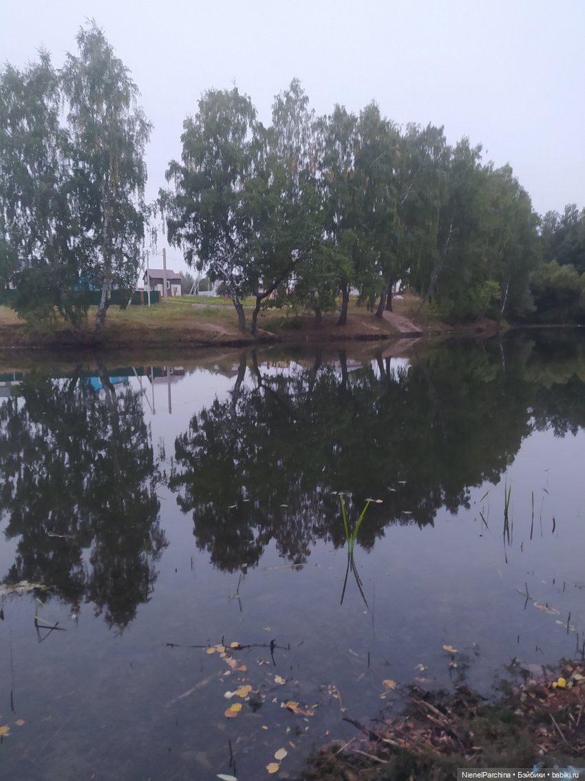 Прогулка с Олесей. Новенькая