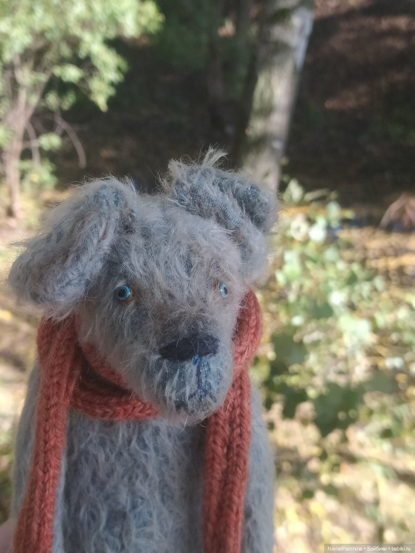 Утренняя прогулка с Джеком