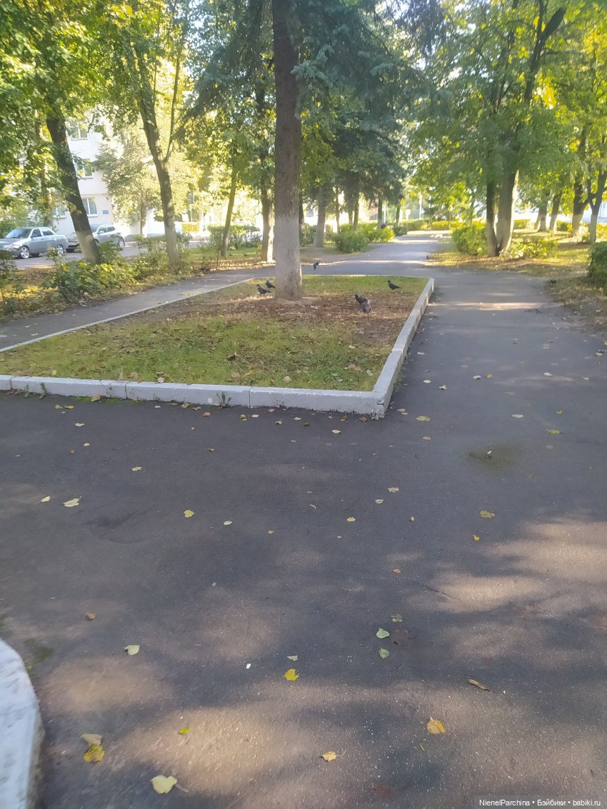 Утренняя прогулка с Джеком