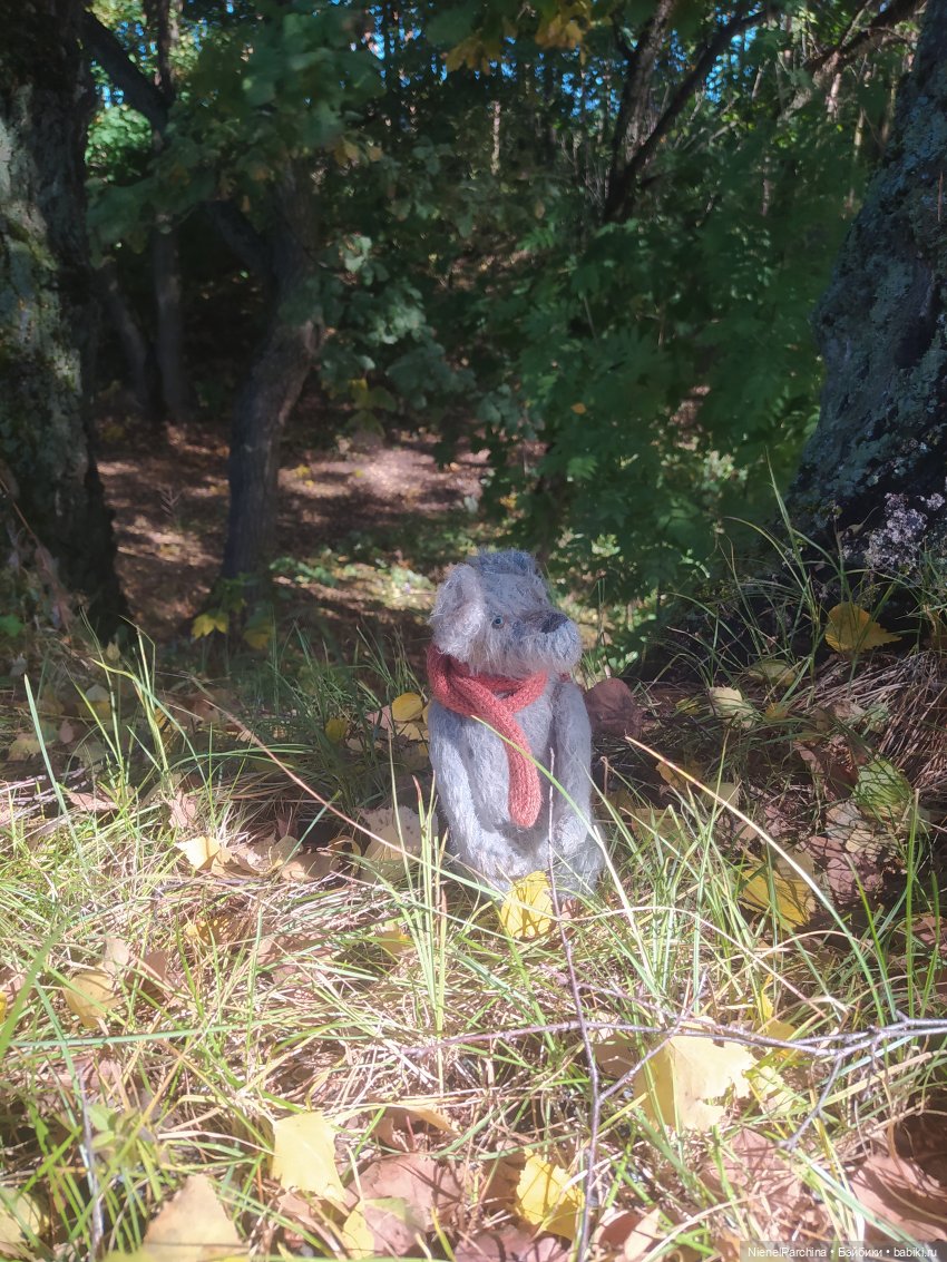 Утренняя прогулка с Джеком