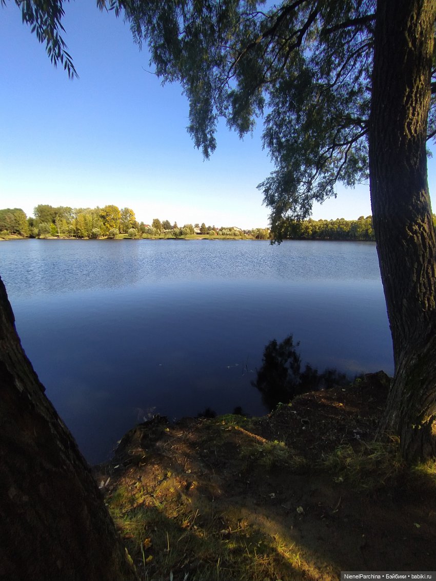 Утренняя прогулка с Джеком