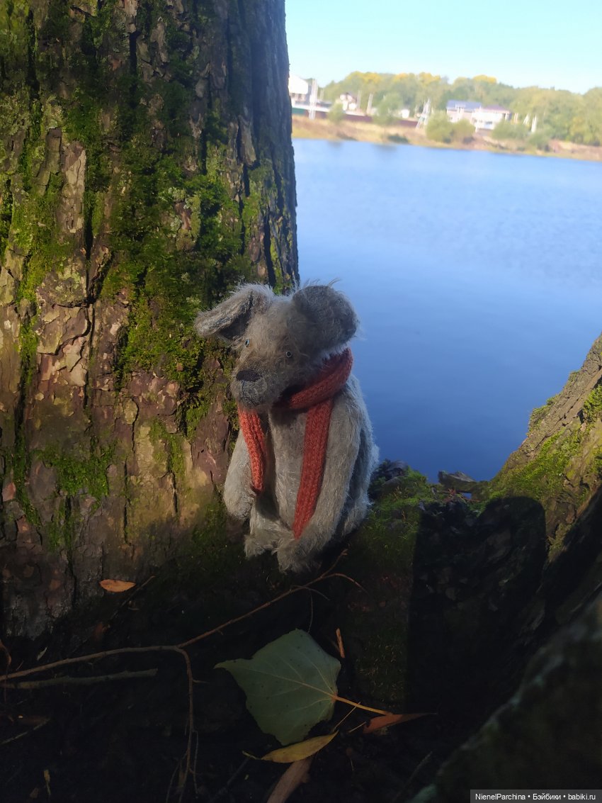 Утренняя прогулка с Джеком