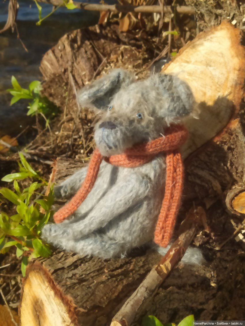 Утренняя прогулка с Джеком