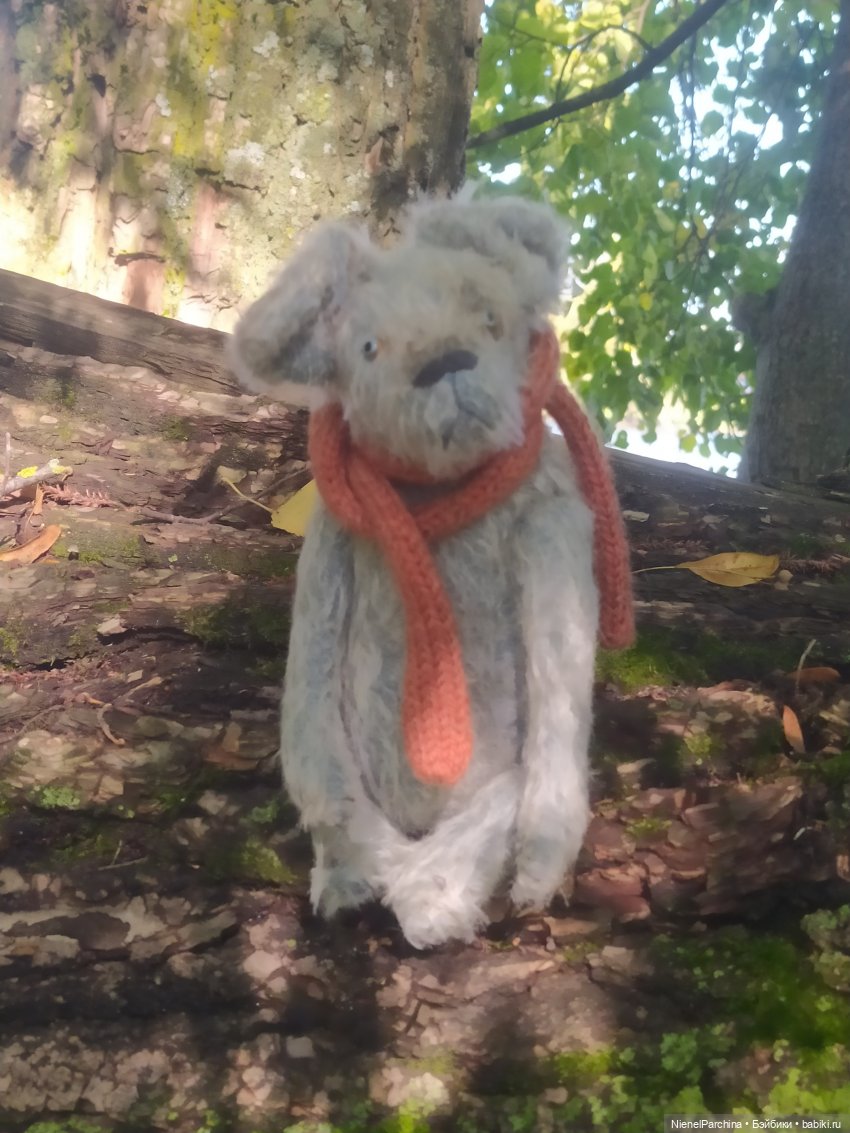 Утренняя прогулка с Джеком