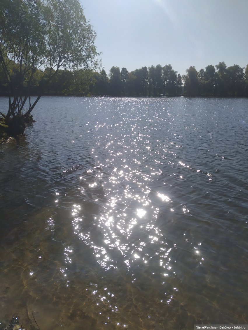 Утренняя прогулка с Джеком