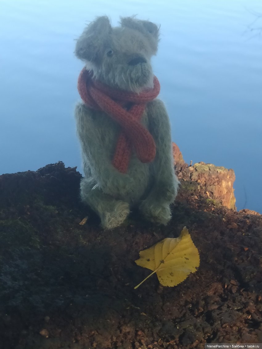 Утренняя прогулка с Джеком