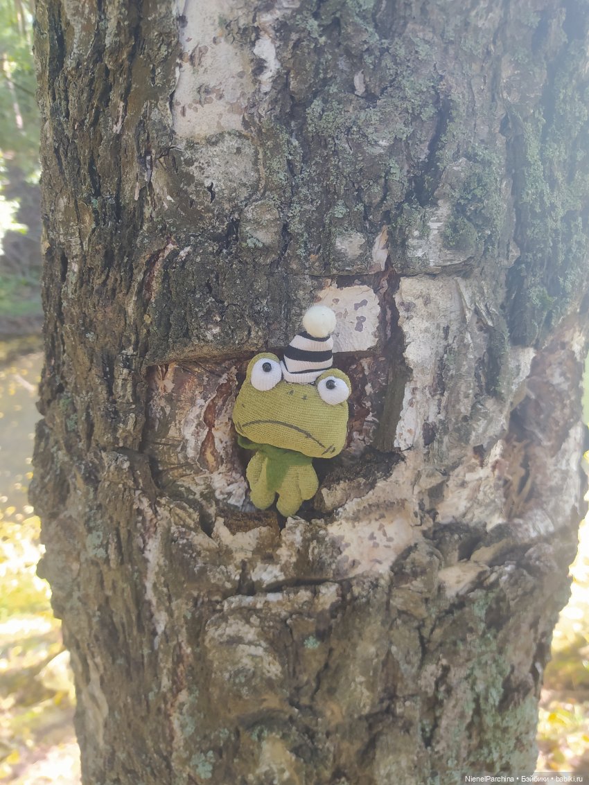 Утренняя прогулка с Джеком