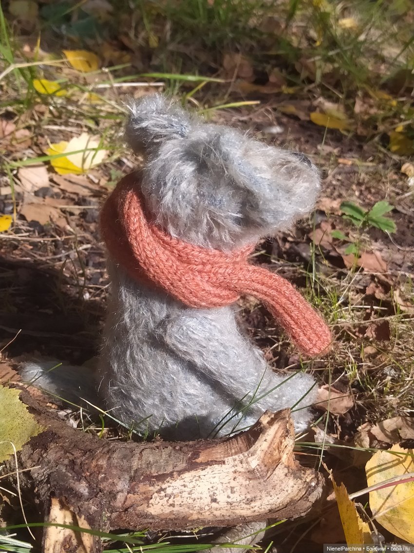 Утренняя прогулка с Джеком (фото 8)