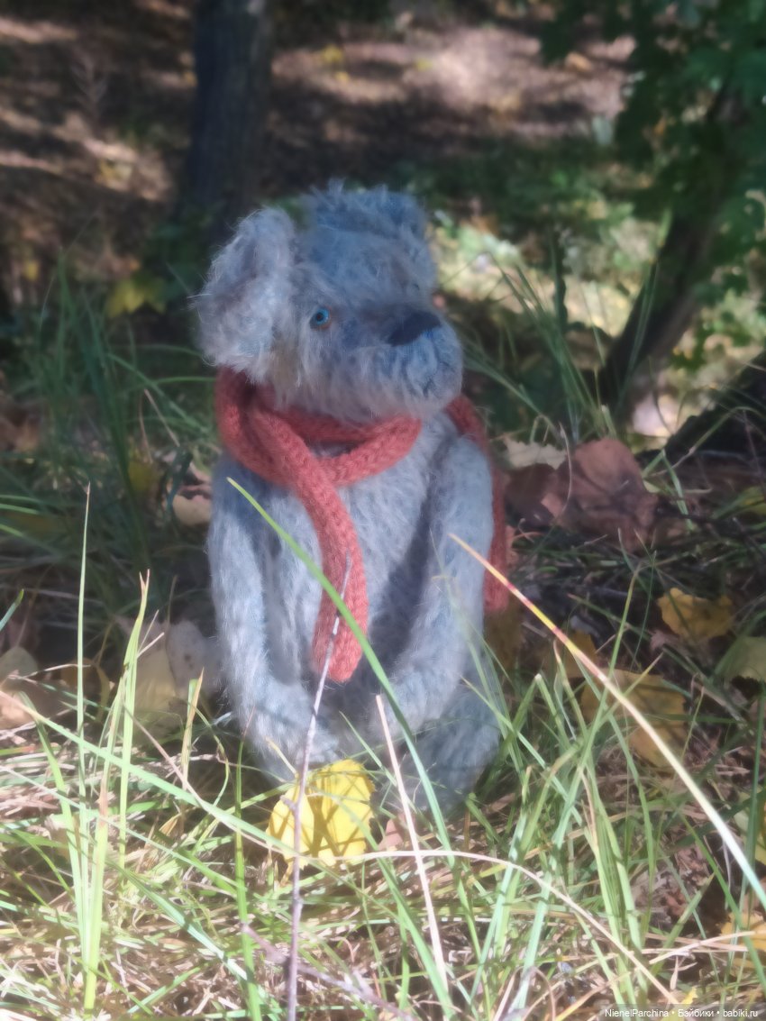 Утренняя прогулка с Джеком