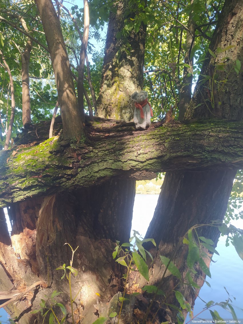 Утренняя прогулка с Джеком