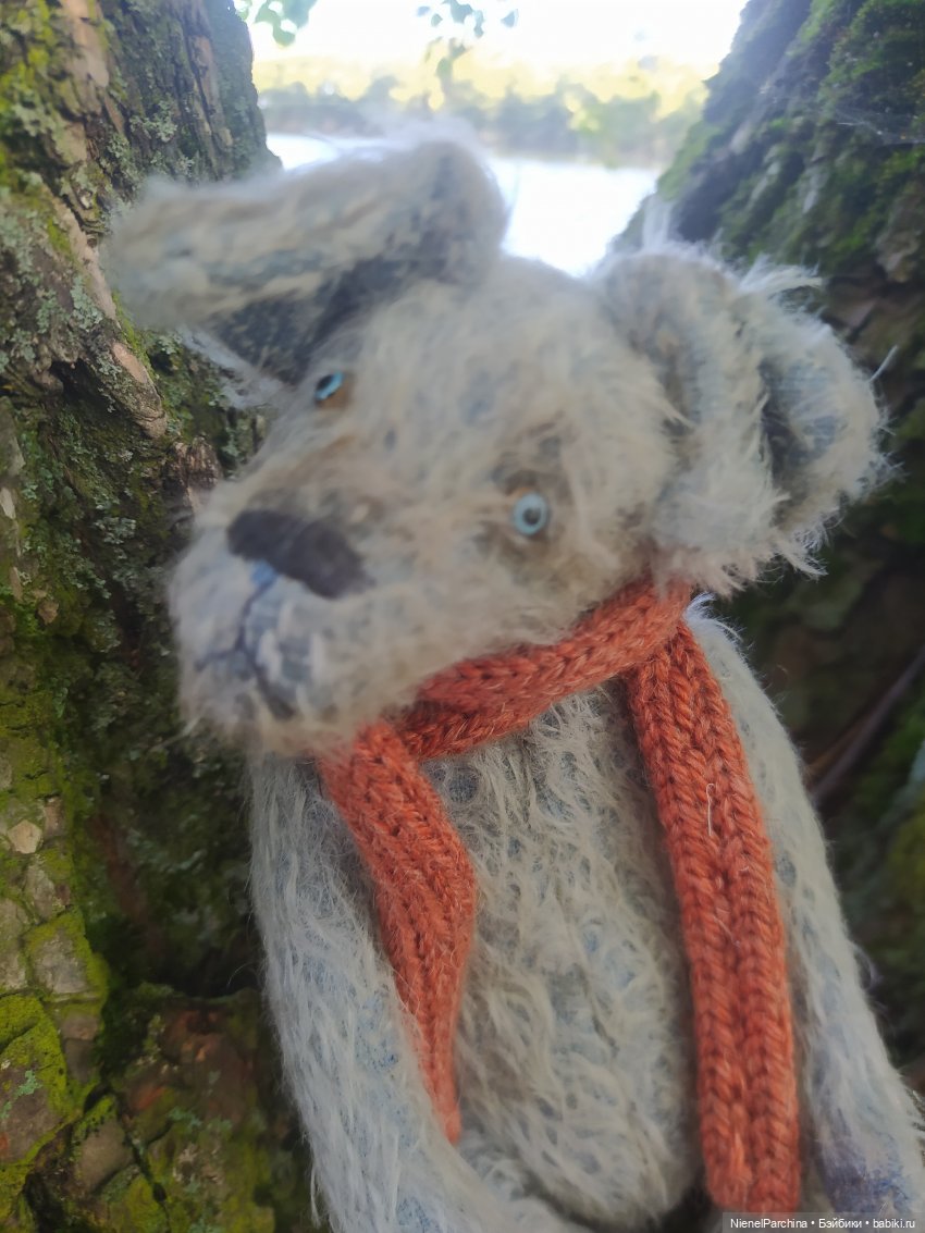 Утренняя прогулка с Джеком