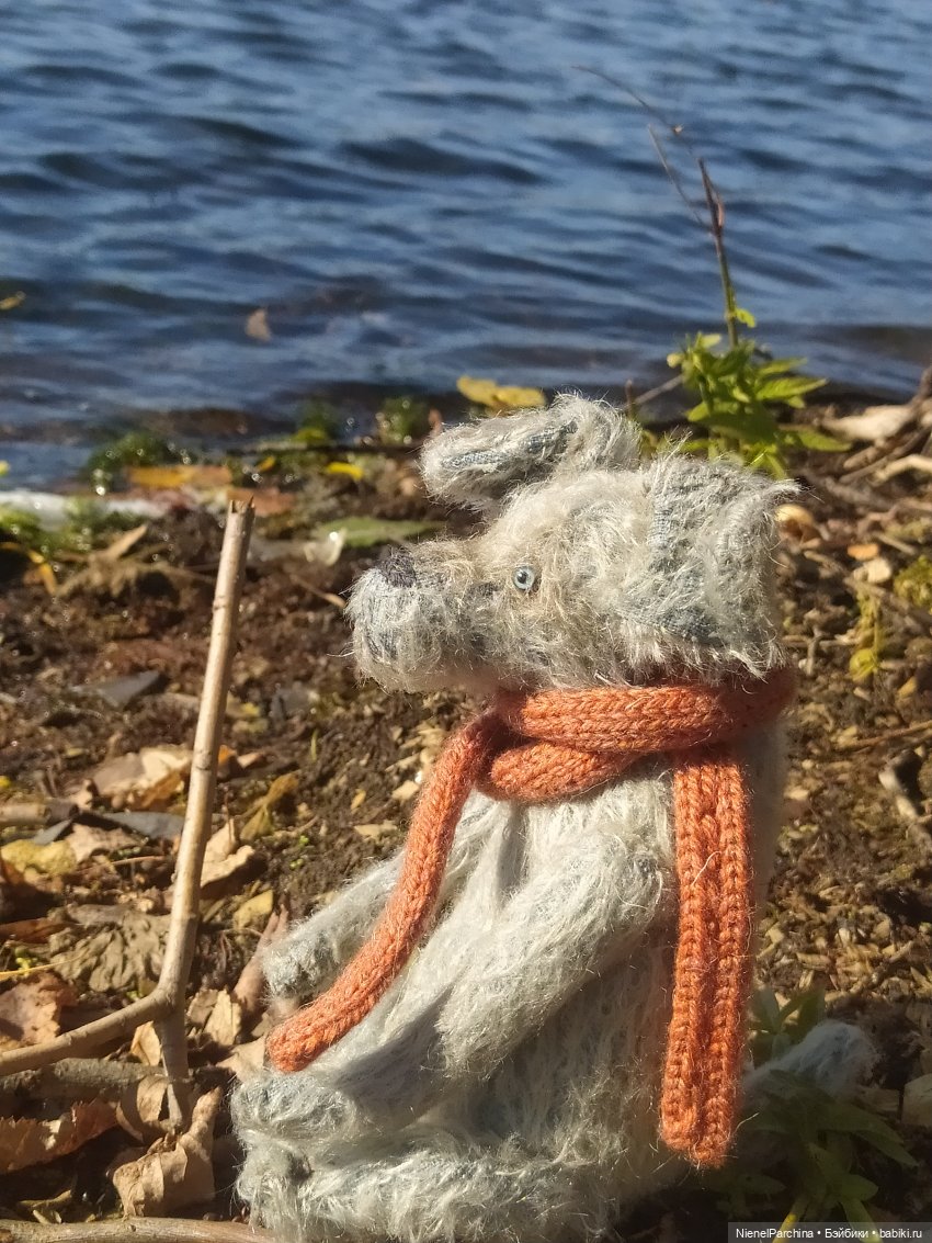 Утренняя прогулка с Джеком