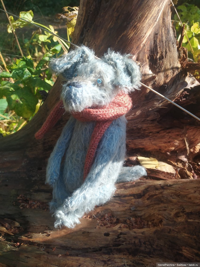 Утренняя прогулка с Джеком (фото 5)