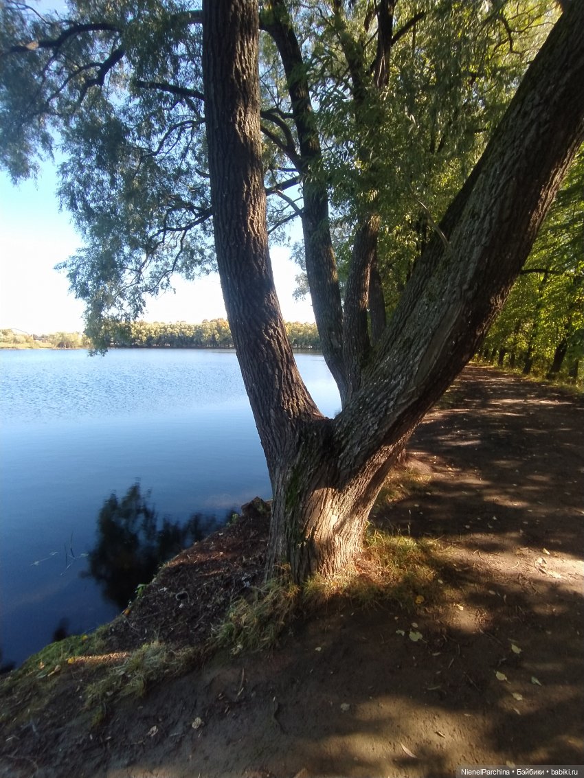 Утренняя прогулка с Джеком