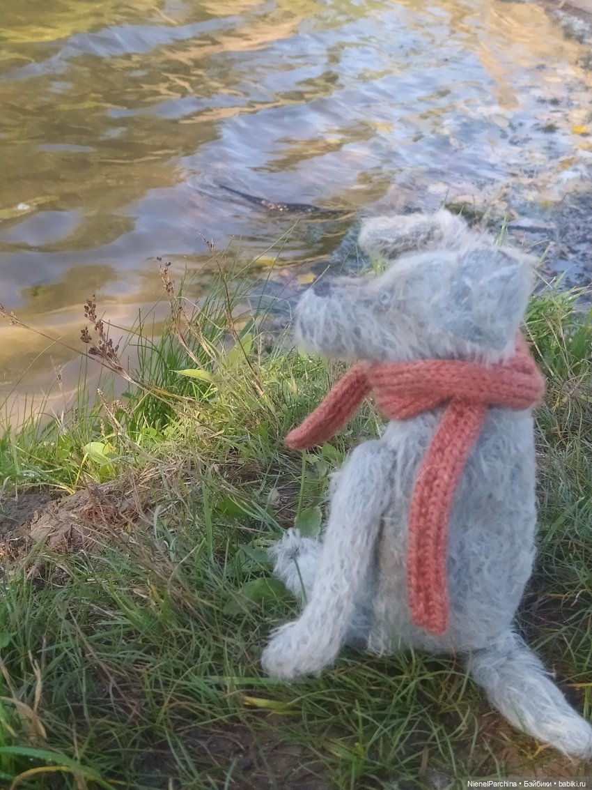 Утренняя прогулка с Джеком