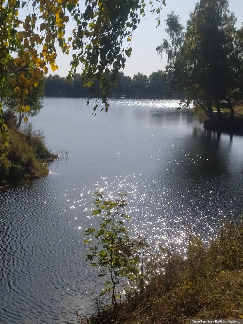 Утренняя прогулка с Джеком (фото 10)