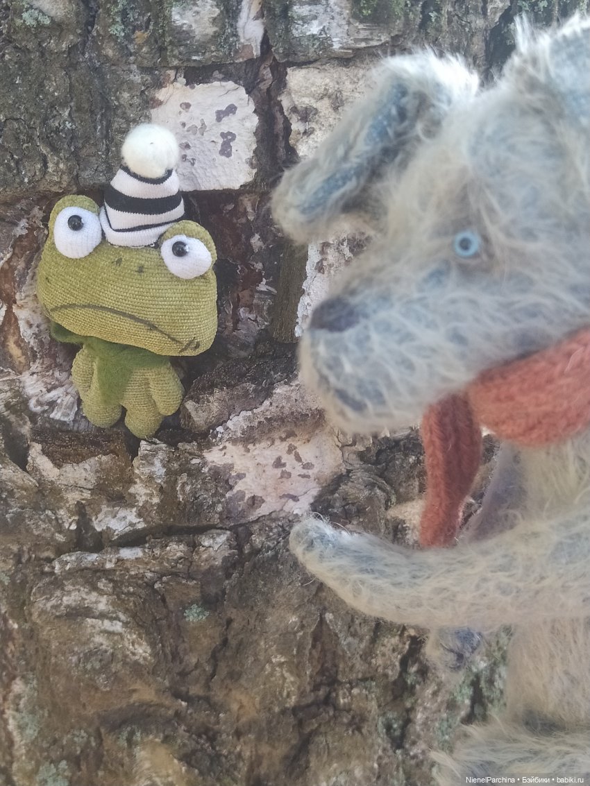 Утренняя прогулка с Джеком