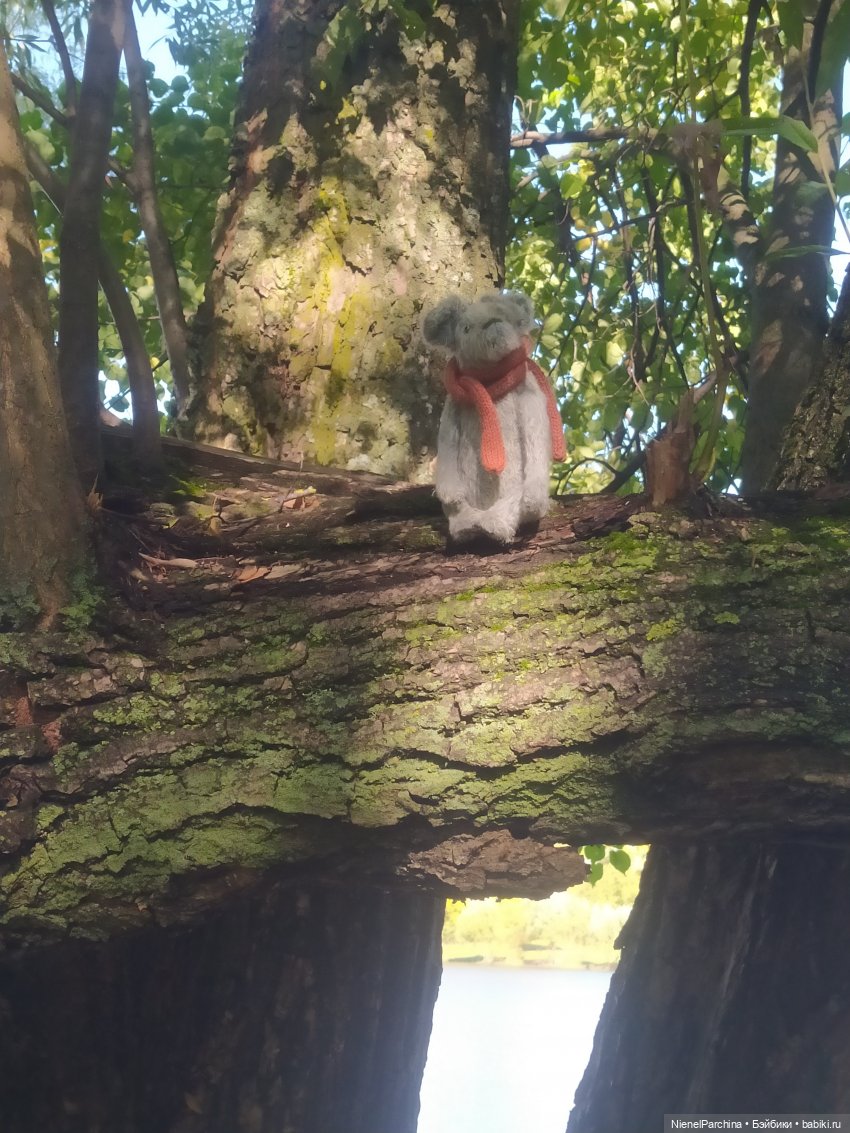 Утренняя прогулка с Джеком