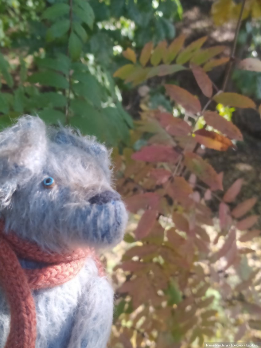 Утренняя прогулка с Джеком