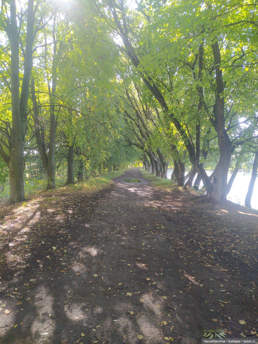 Утренняя прогулка с Джеком