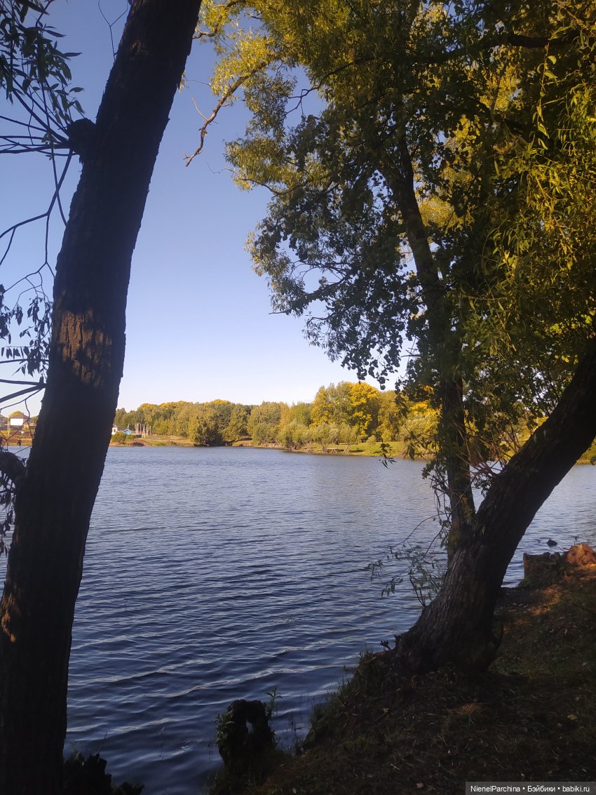 Утренняя прогулка с Джеком