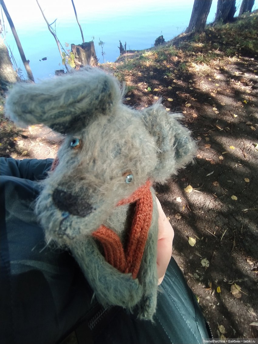 Утренняя прогулка с Джеком