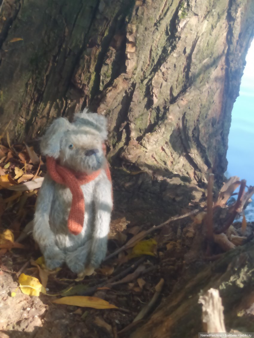 Утренняя прогулка с Джеком