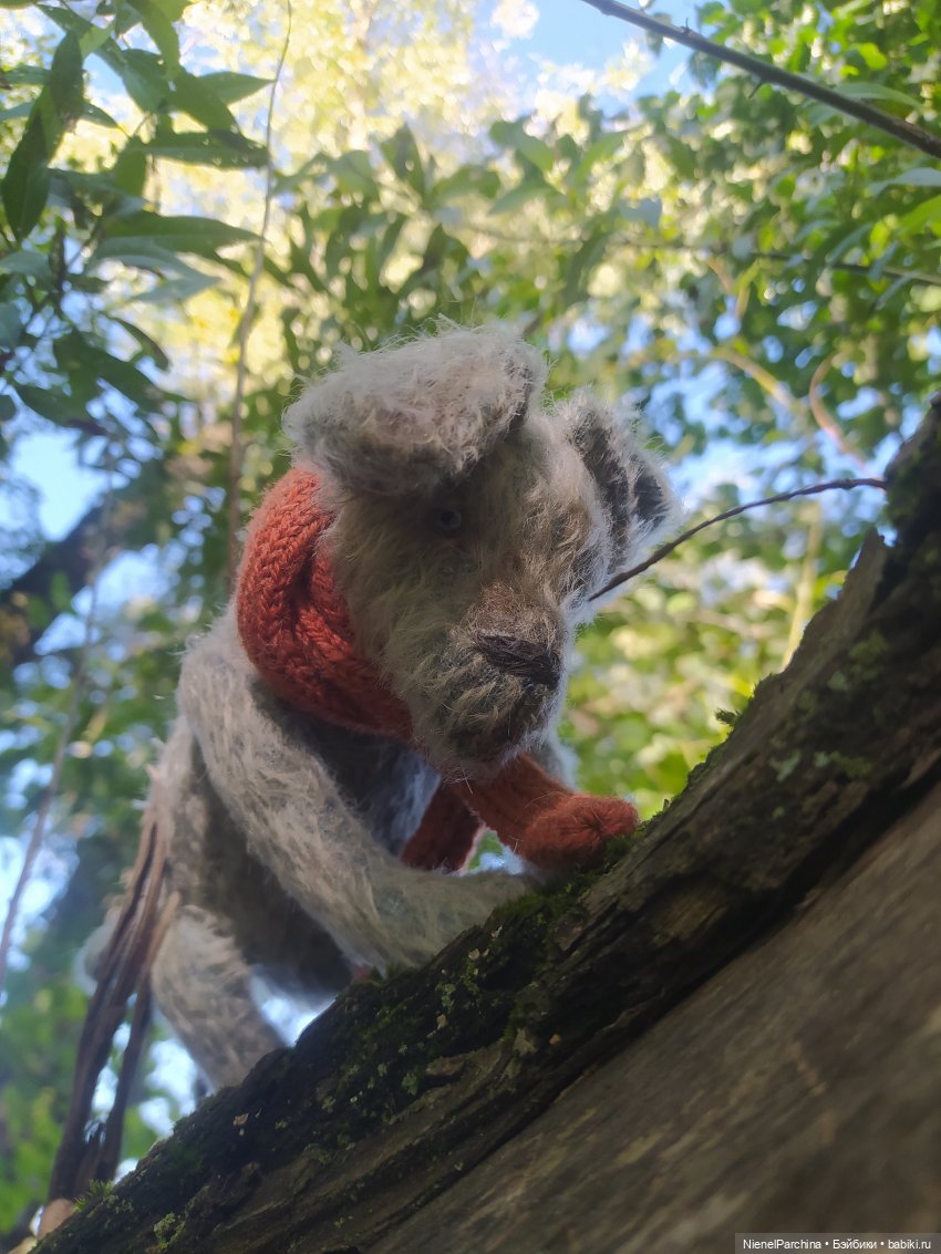 Утренняя прогулка с Джеком