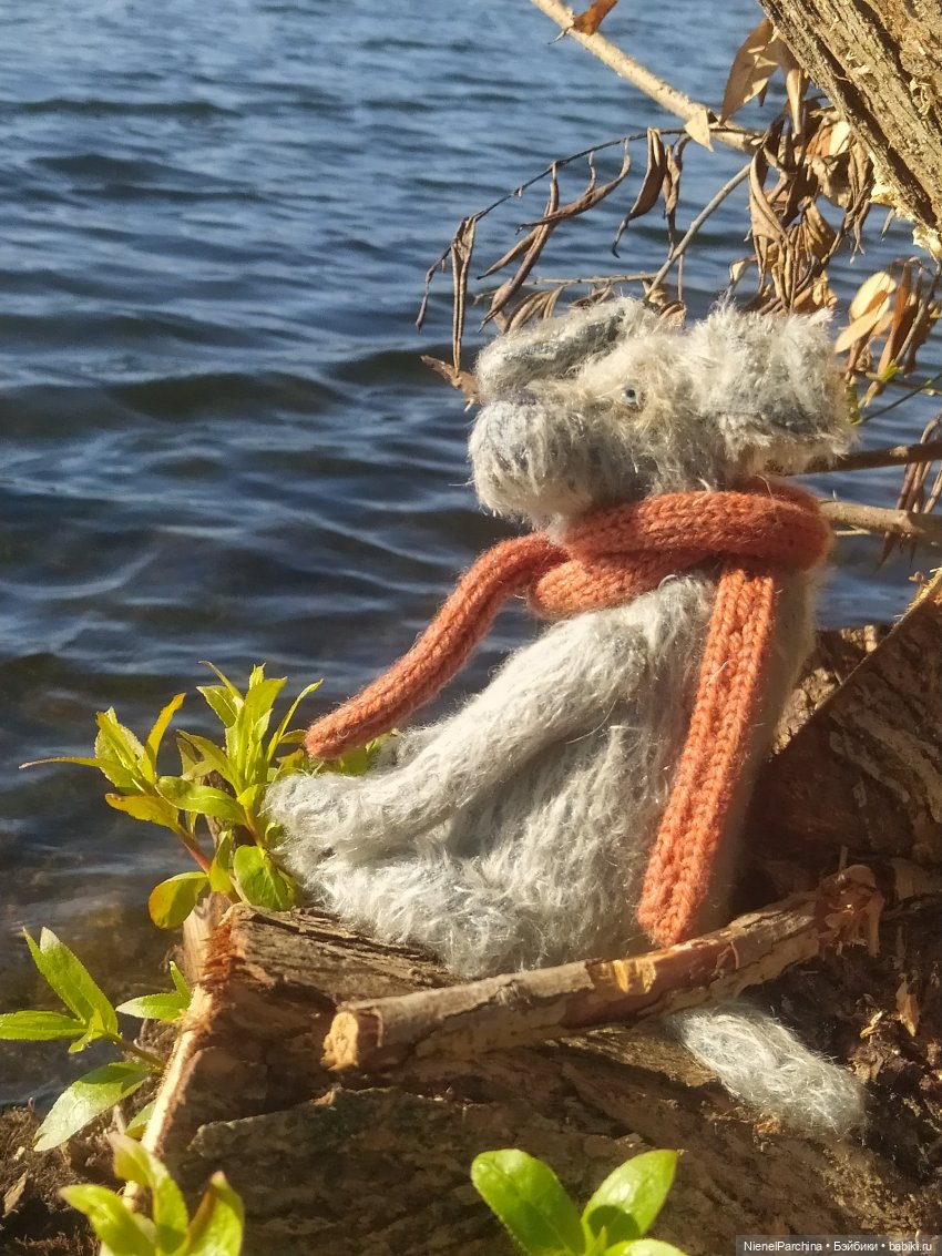 Утренняя прогулка с Джеком