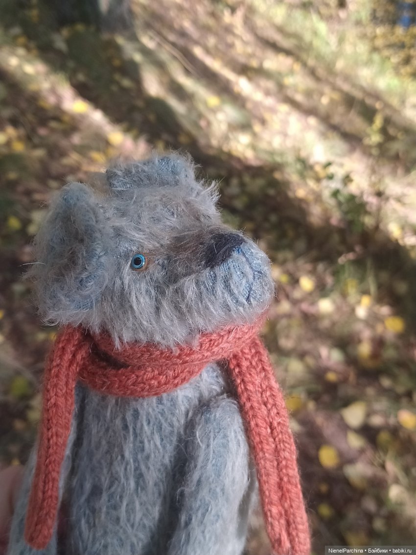 Утренняя прогулка с Джеком