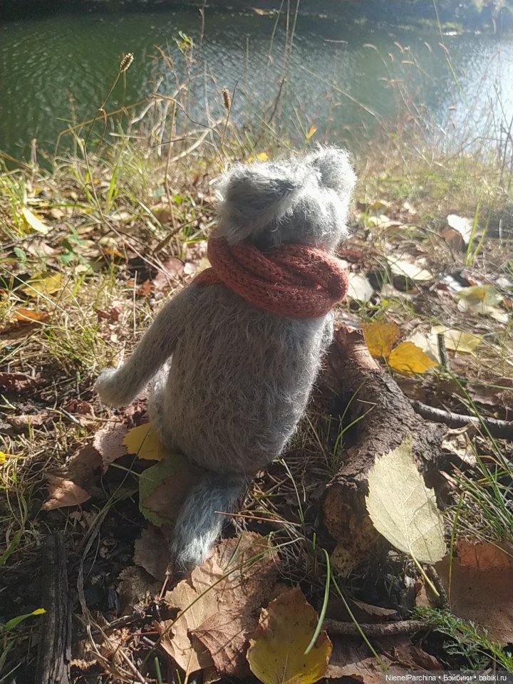 Утренняя прогулка с Джеком (фото 7)