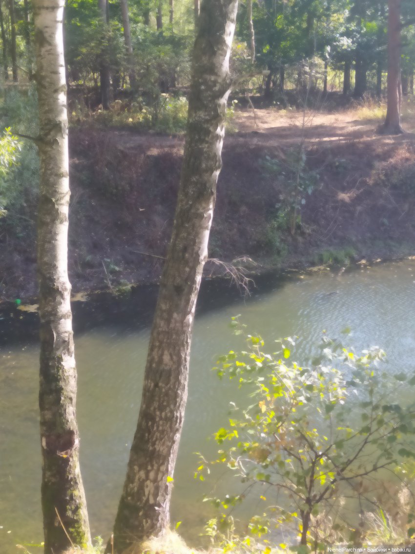 Утренняя прогулка с Джеком