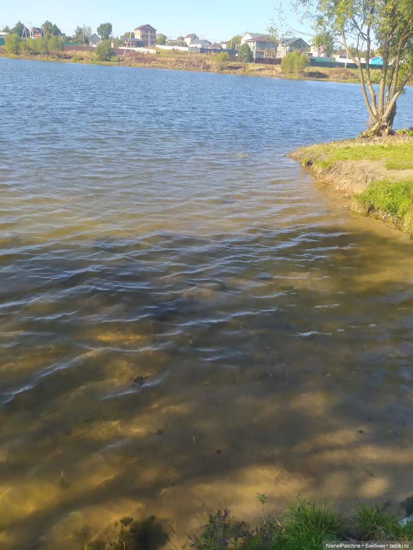 Утренняя прогулка с Джеком