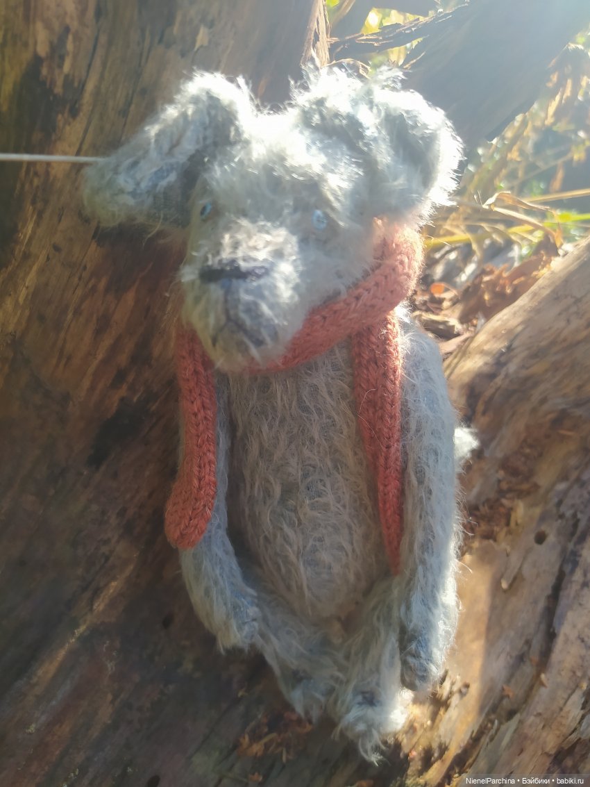 Утренняя прогулка с Джеком (фото 4)