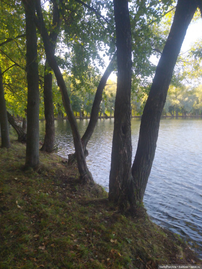 Утренняя прогулка с Джеком