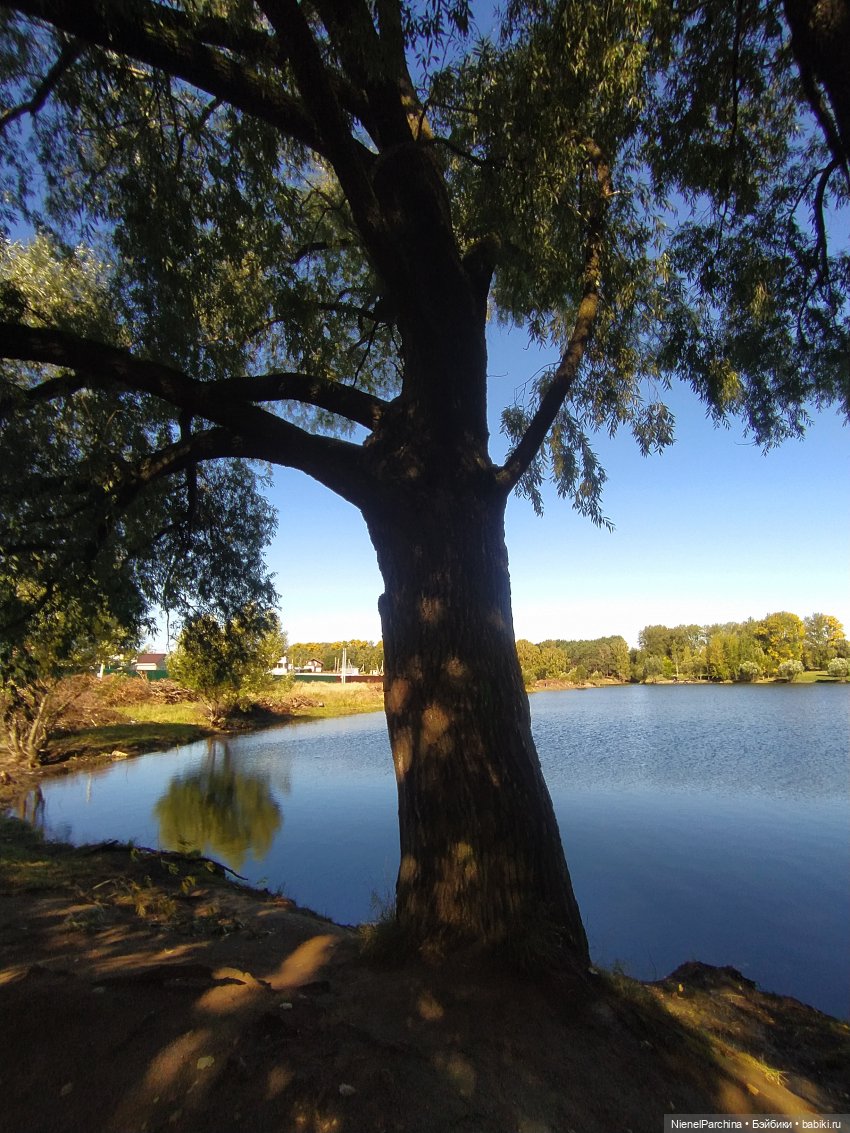 Утренняя прогулка с Джеком