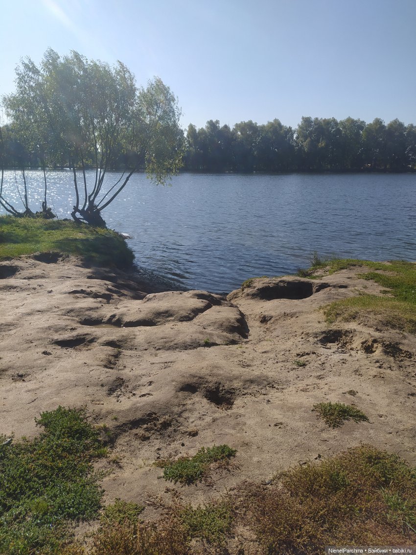 Утренняя прогулка с Джеком