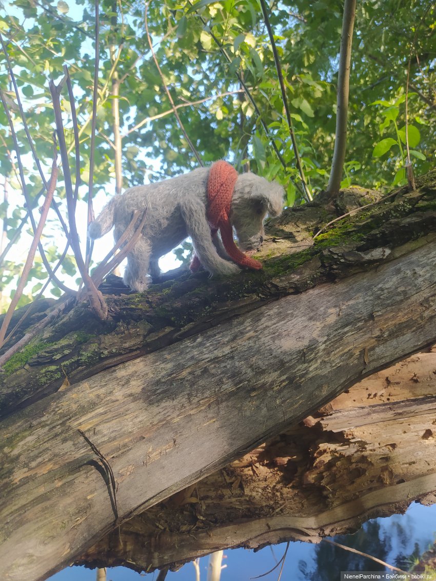 Утренняя прогулка с Джеком