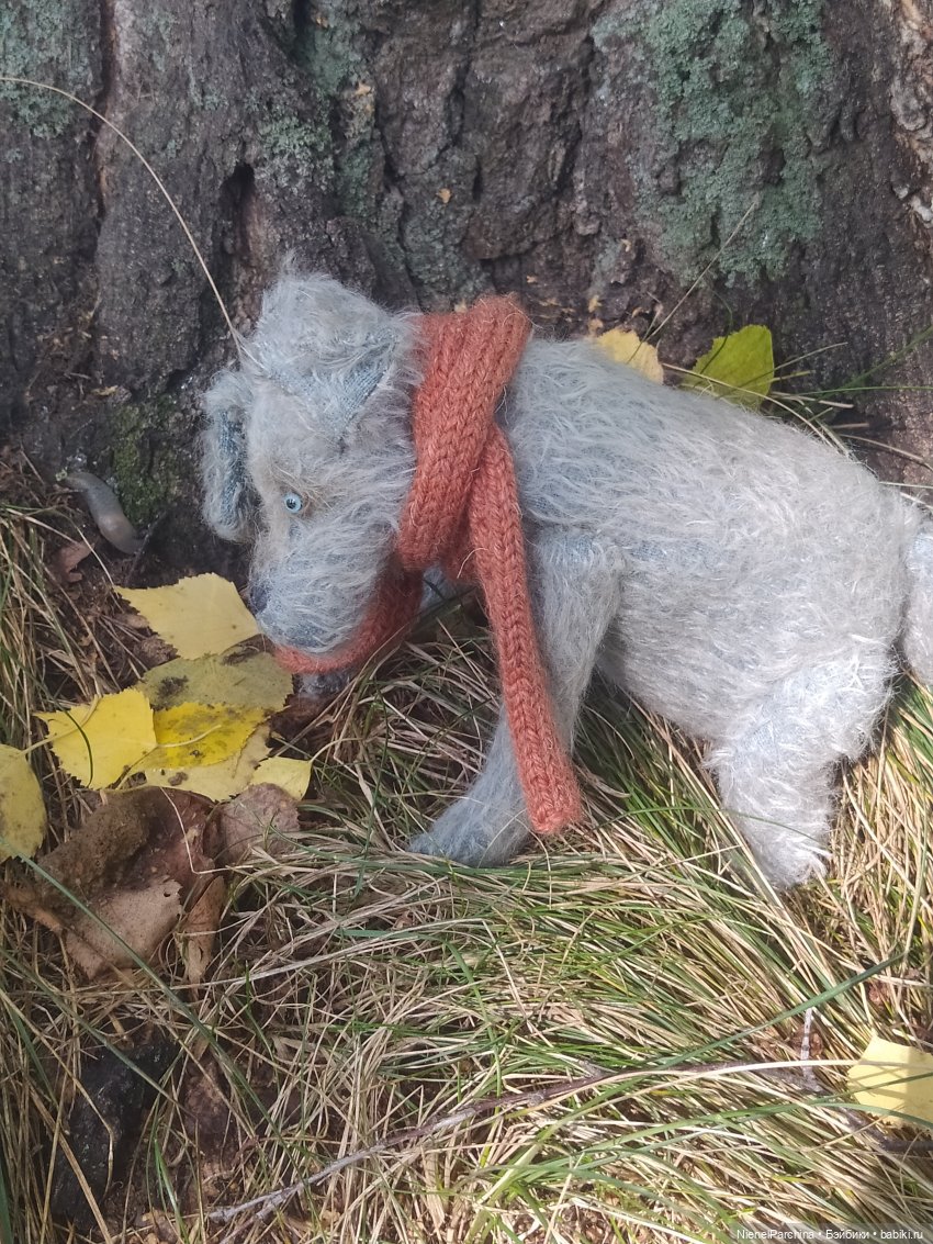 Утренняя прогулка с Джеком