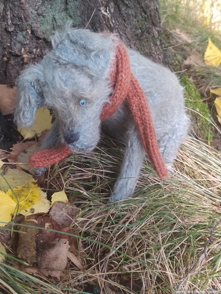 Утренняя прогулка с Джеком