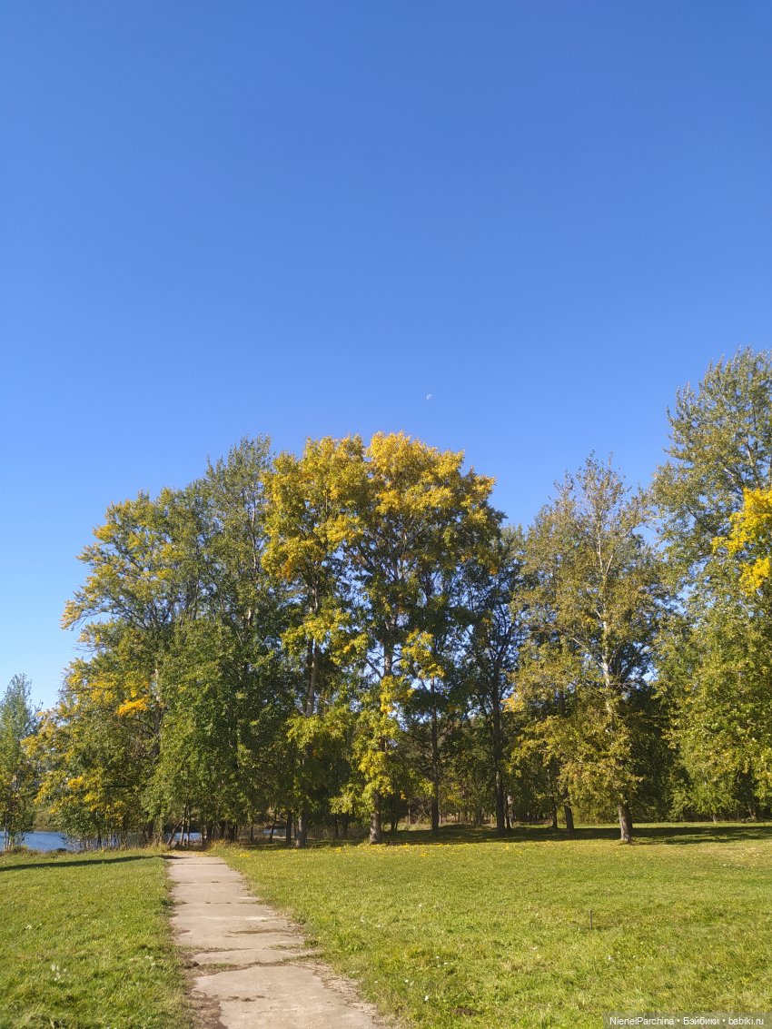 Утренняя прогулка с Джеком