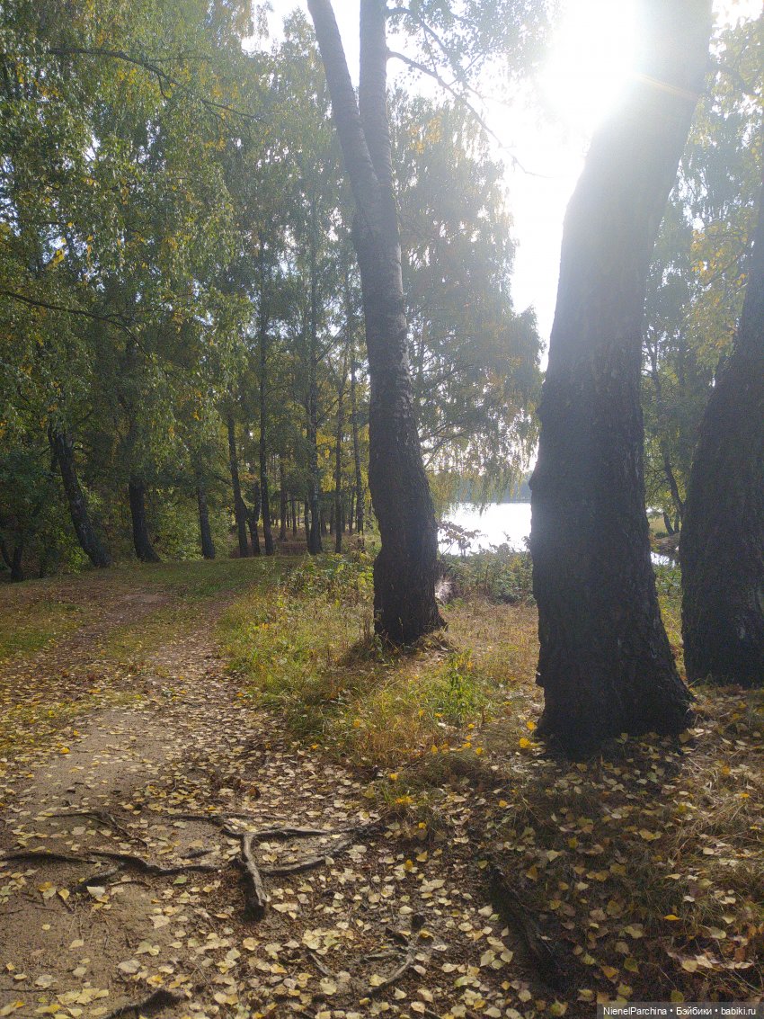 Утренняя прогулка с Джеком (фото 2)