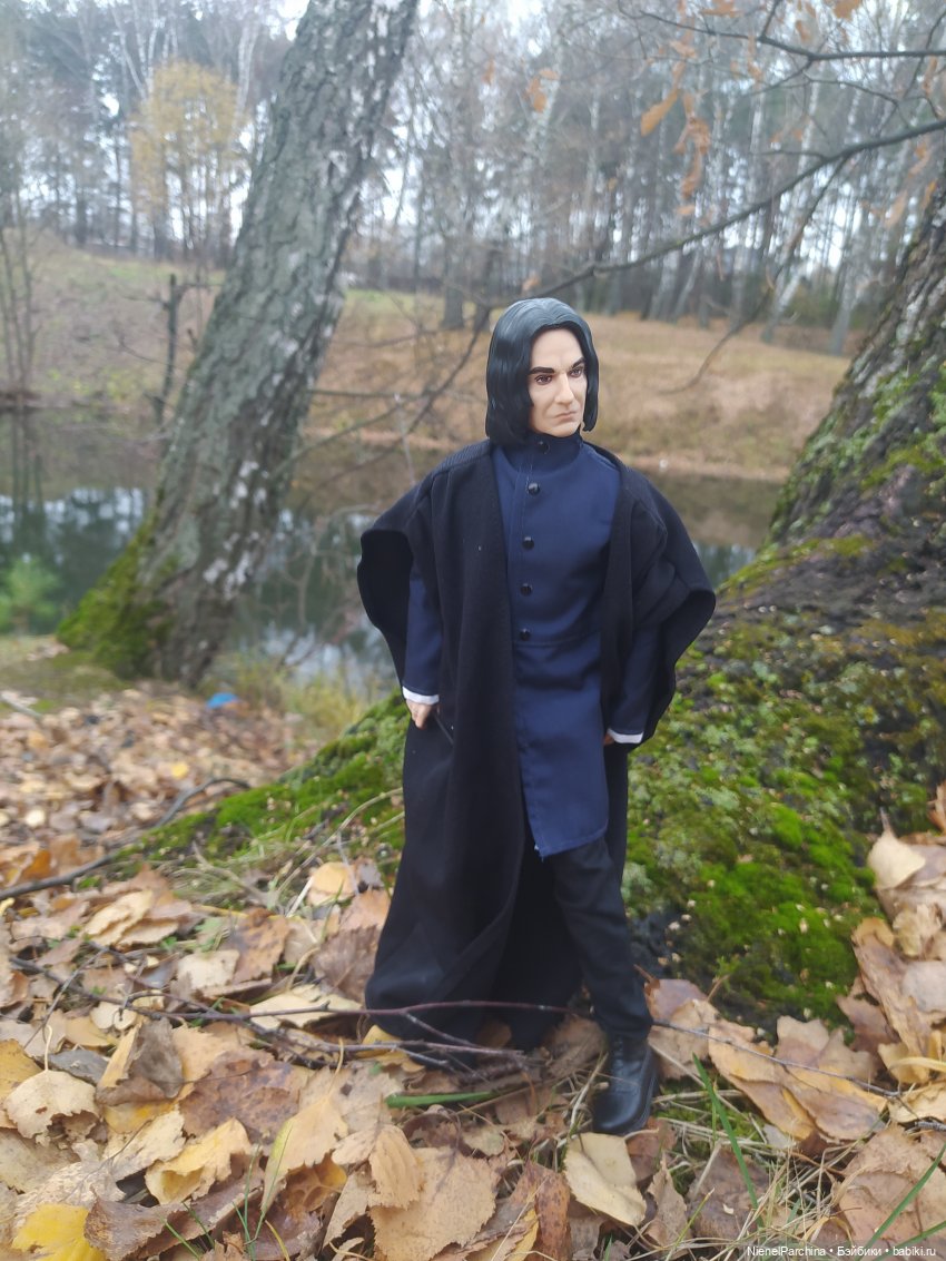 Утро ноября | Бэйбики Утро ноября — Аналоги Барби и куклы 1/6: клоны 90 (фото 7)