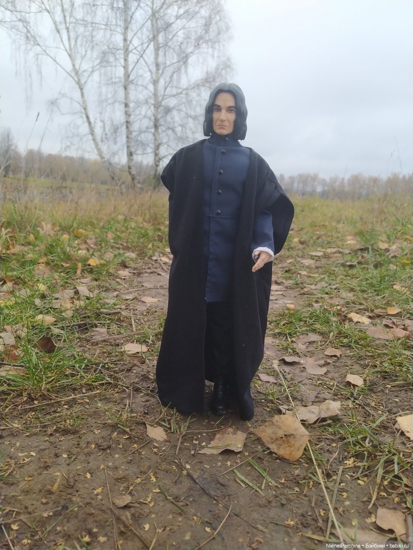 Утро ноября | Бэйбики Утро ноября — Аналоги Барби и куклы 1/6: клоны 90 (фото 4)