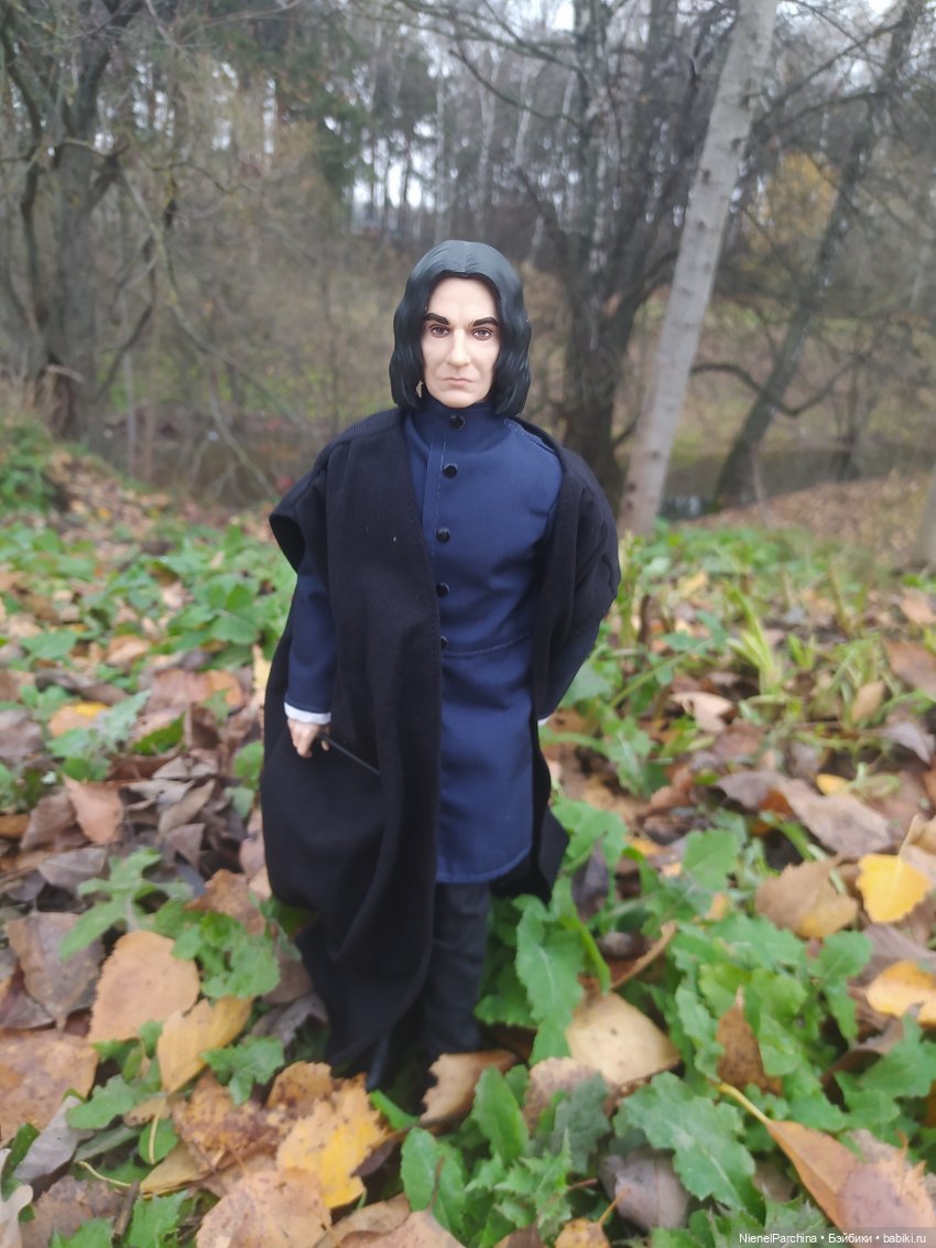 Утро ноября | Бэйбики Утро ноября — Аналоги Барби и куклы 1/6: клоны 90 (фото 2)