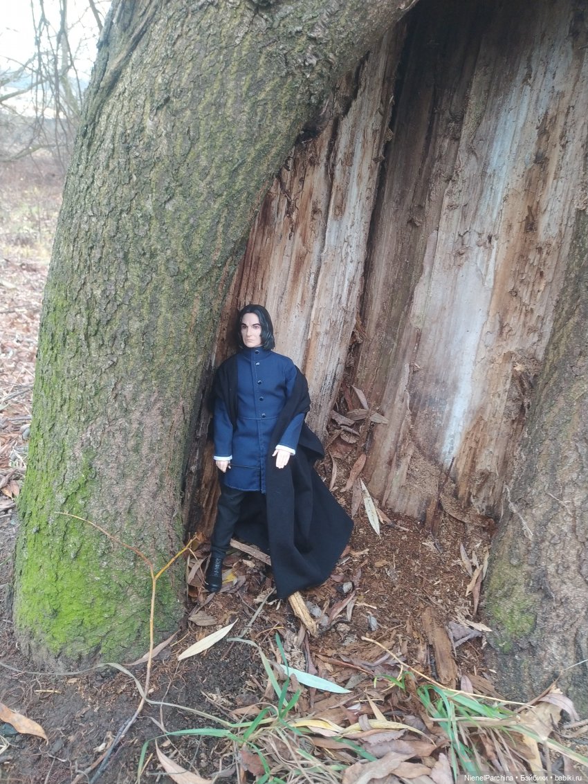 Утро ноября | Бэйбики Утро ноября — Аналоги Барби и куклы 1/6: клоны 90