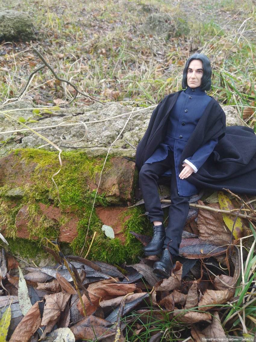 Утро ноября | Бэйбики Утро ноября — Аналоги Барби и куклы 1/6: клоны 90