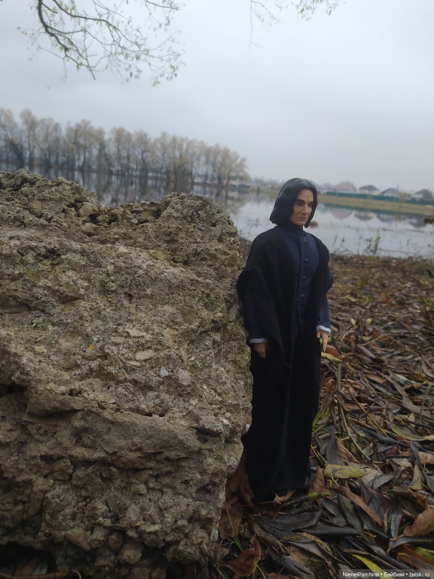 Утро ноября | Бэйбики Утро ноября — Аналоги Барби и куклы 1/6: клоны 90