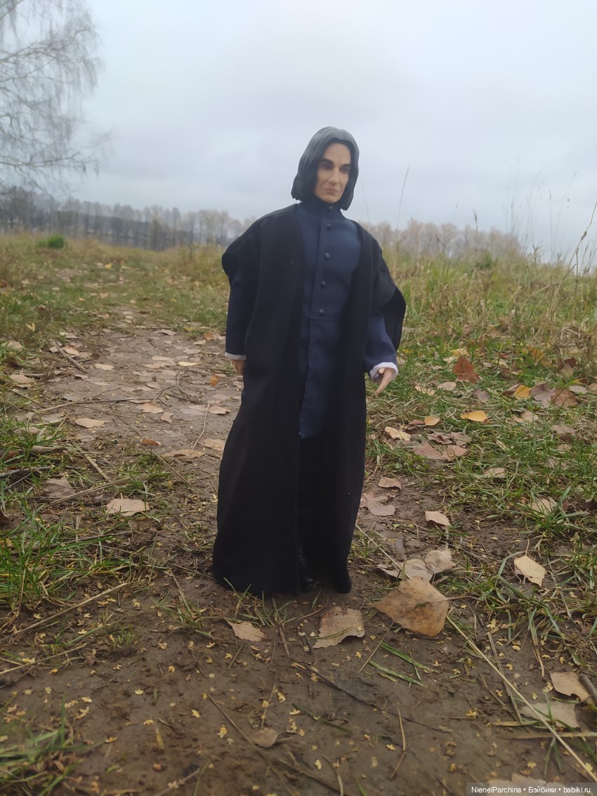 Утро ноября | Бэйбики Утро ноября — Аналоги Барби и куклы 1/6: клоны 90 (фото 5)